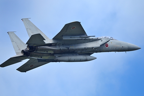 japan-sdf-f15-feb-2014.jpg